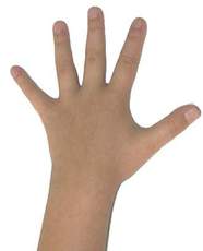 Finger-1x5.jpg